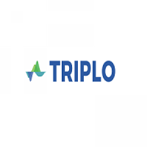 MT4-Triploea