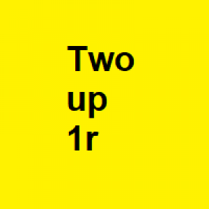 MT4-TWOup1r