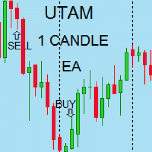 MT4-A body candle positioning builder EA