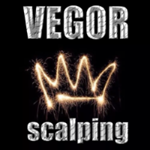 MT4-Vegor