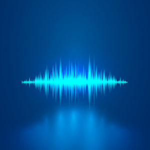 MT5-VoiceEscort