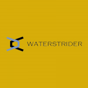 MT5-WaterstriderFTMOGold