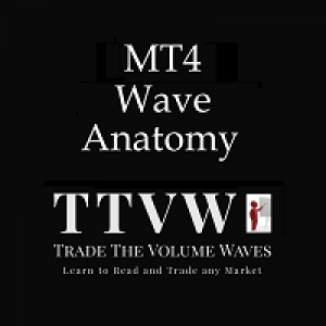 MT4-Wave Anatomy
