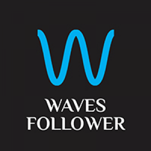 MT4-Waves Follower