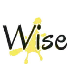 MT4-WiseBW
