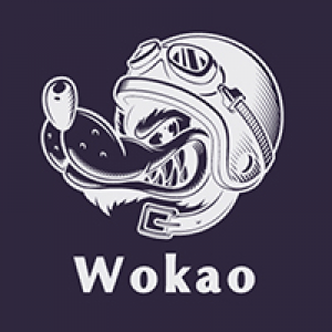 MT4-Wokao ea