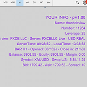 MT5-Your Information MT5