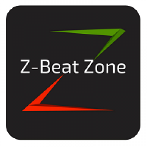 MT4-ZBeatZone