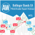 MT5-AW Bollinder Bands EA MT5 MT5-AW Bollinder Bands EA MT5