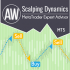 MT5-AW Scalping Dynamics MT5 MT5-AW Scalping Dynamics MT5