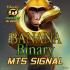 MT5-Banana Binary MT5 Signal MT5-Banana Binary MT5 Signal