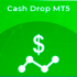 MT5-Cash Drop MT5 MT5-Cash Drop MT5