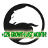 MT5-Daytrade Pro Algo MT5 MT5-Daytrade Pro Algo MT5