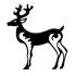 MT5-Deer Ma MT5-Deer Ma