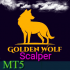 MT5-EA Smart Golden Wolf Scalper MT5