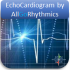 MT5-EchoCardiogram MT5-EchoCardiogram