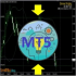 MT5-Extreme Hedging MT5