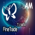 MT4-Fine Trade AM MT4-Fine Trade AM