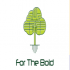MT5-For The Bold