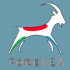 MT4-ForexEA5 GOLD only MT4-ForexEA5 GOLD only