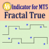 MT5-Fractal True
