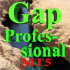 MT5-Gap Professional MT5 MT5-Gap Professional MT5