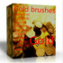 MT4-Gold brushes MT4-Gold brushes