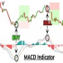 MT5-Gold scalping MACD MT5-Gold scalping MACD