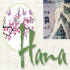 MT4-Hana USDJPY MT4-Hana USDJPY