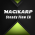 MT4-High Frequency EurUsd Rsi and Macd Trader MT4-High Frequency EurUsd Rsi and Macd Trader