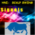 MT4-Hni Scalp Swing indicator MT4-Hni Scalp Swing indicator