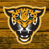 MT5-Leopard EA MT5 MT5-Leopard EA MT5
