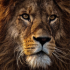 MT4-Lion MT4 EA MT4-Lion MT4 EA