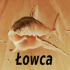 MT4-Lowca MT4-Lowca