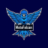 MT4-Metafalcon MT4-Metafalcon
