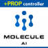 MT4-Molecule AI MT4-Molecule AI