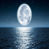 MT4-Moonlight pro MT4-Moonlight pro