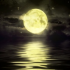 MT4-Quiet Moon MT4-Quiet Moon