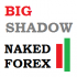 MT5-Naked Forex Big Shadow indicator for MT5 MT5-Naked Forex Big Shadow indicator for MT5