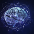 MT5-Neural network NGZ