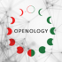 MT4-Openology MT4-Openology