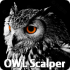 MT4-OWL Scalper MT4-OWL Scalper