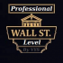 MT4-Professional Level MT4-Professional Level