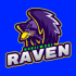 MT4-Raven NW MT4-Raven NW