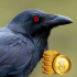 MT4-RavenWatcher MT4-RavenWatcher