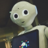 MT4-Robot 100M