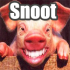 MT4-Snoot MT4-Snoot