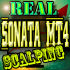 MT4-Sonata MT4 MT4-Sonata MT4