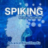 MT5-Spiking NN MT5-Spiking NN