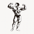 MT4-Steel Muscles MT4-Steel Muscles